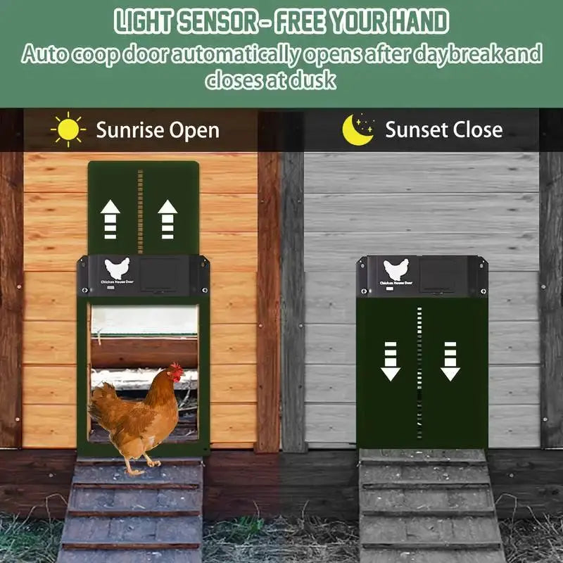Eggs on Legs - Automatic Chicken Coop Door with Light Sensor - Battery Powered - Eggs on Legs