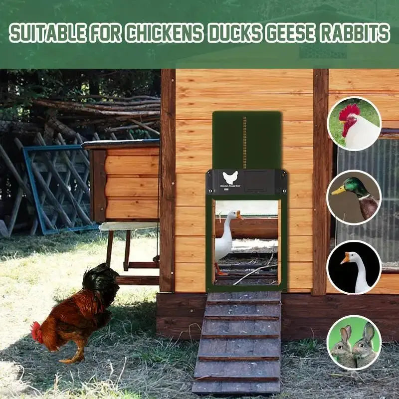 Eggs on Legs - Automatic Chicken Coop Door with Light Sensor - Battery Powered - Eggs on Legs