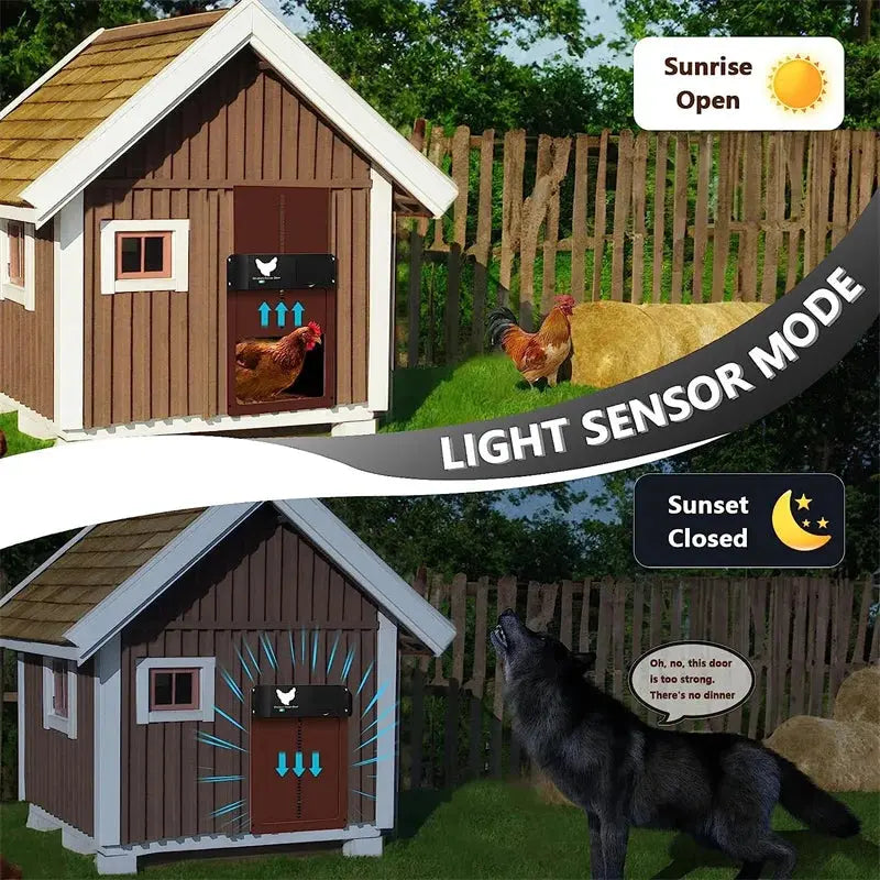 Eggs on Legs - Automatic Chicken Coop Door with Light Sensor - Battery Powered - Eggs on Legs