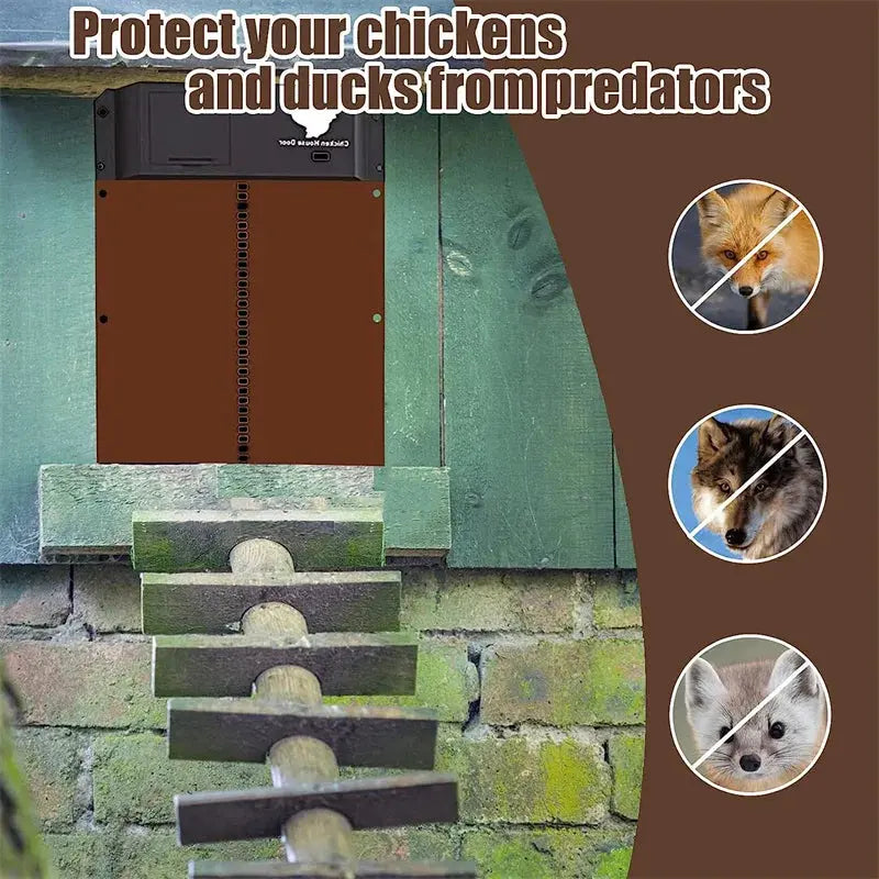 Eggs on Legs - Automatic Chicken Coop Door with Light Sensor - Battery Powered - Eggs on Legs