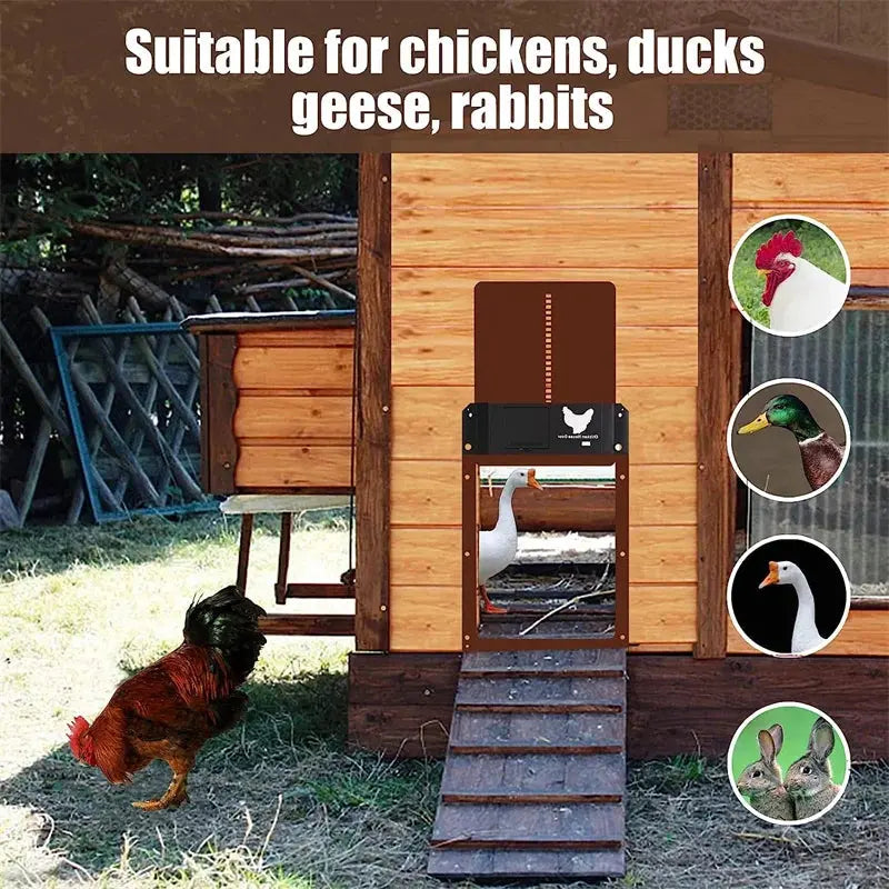 Eggs on Legs - Automatic Chicken Coop Door with Light Sensor - Battery Powered - Eggs on Legs