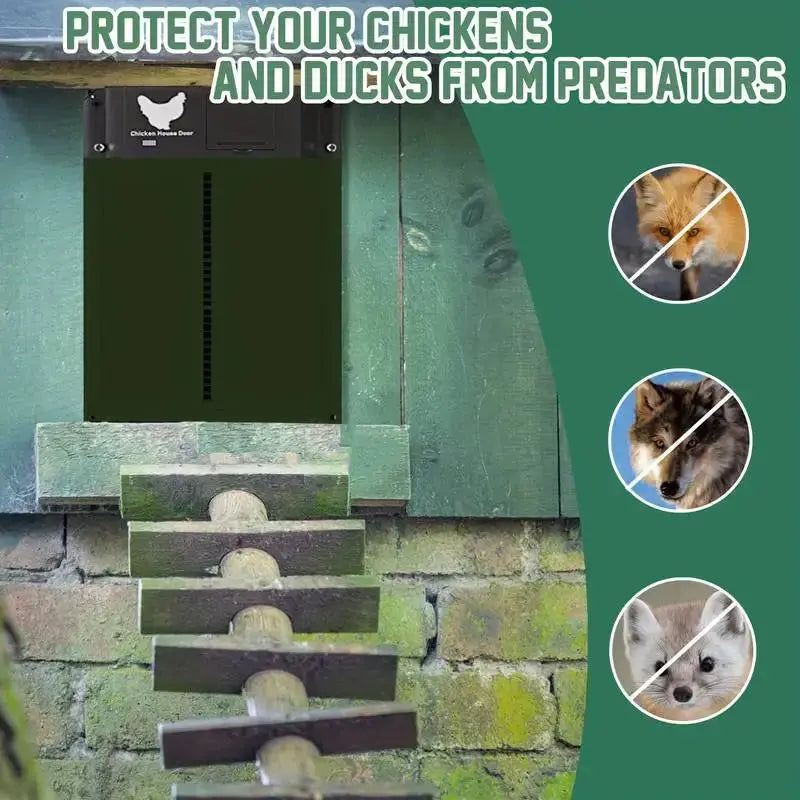 Eggs on Legs - Automatic Chicken Coop Door with Light Sensor - Battery Powered - Eggs on Legs