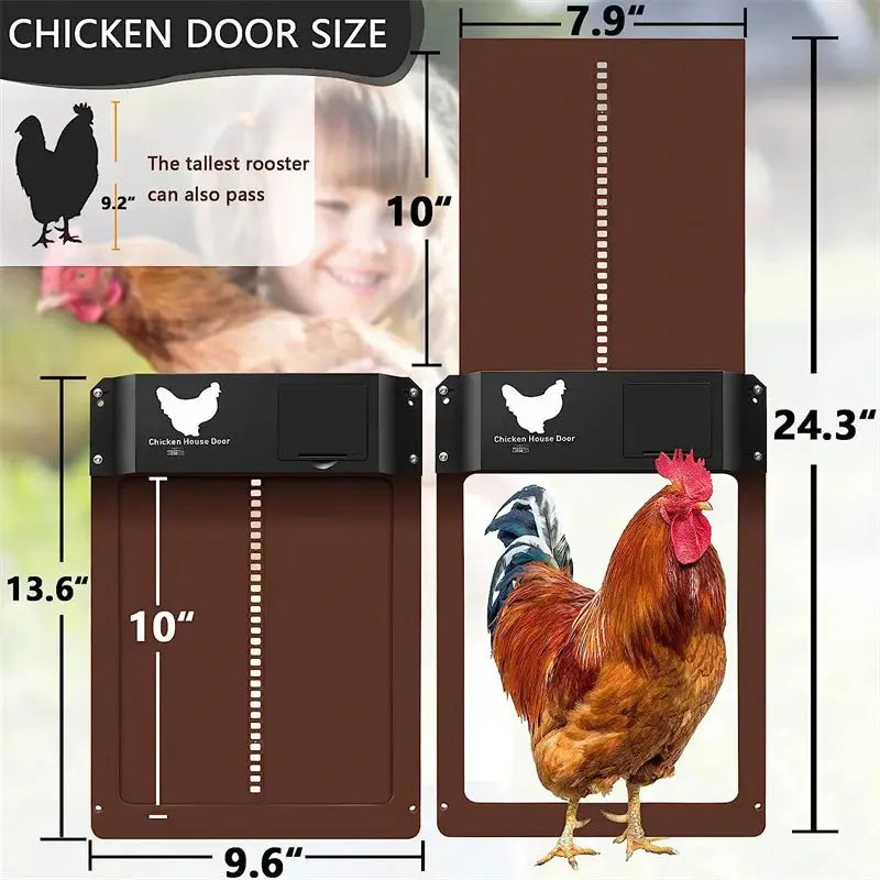 Eggs on Legs - Automatic Chicken Coop Door with Light Sensor - Battery Powered - Eggs on Legs