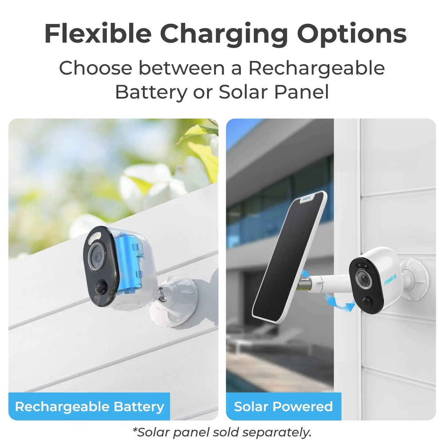 Eggs on Legs - Reolink 5MP Solar Battery Powered Wireless Security Camera - Great for Chickens and Pets! - Eggs on Legs