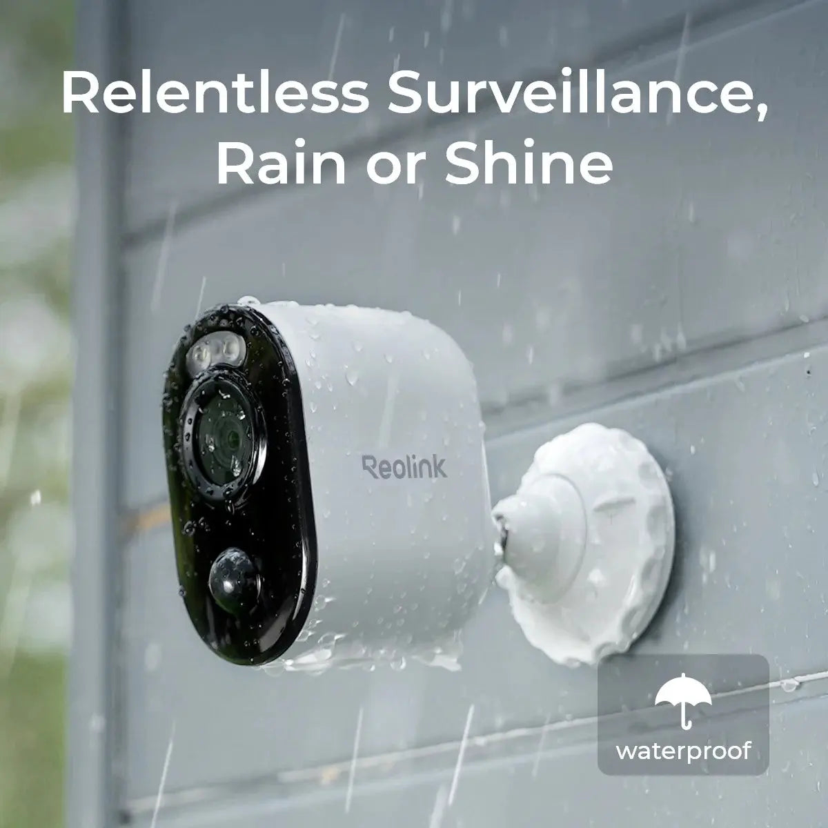 Eggs on Legs - Reolink 5MP Solar Battery Powered Wireless Security Camera - Great for Chickens and Pets! - Eggs on Legs