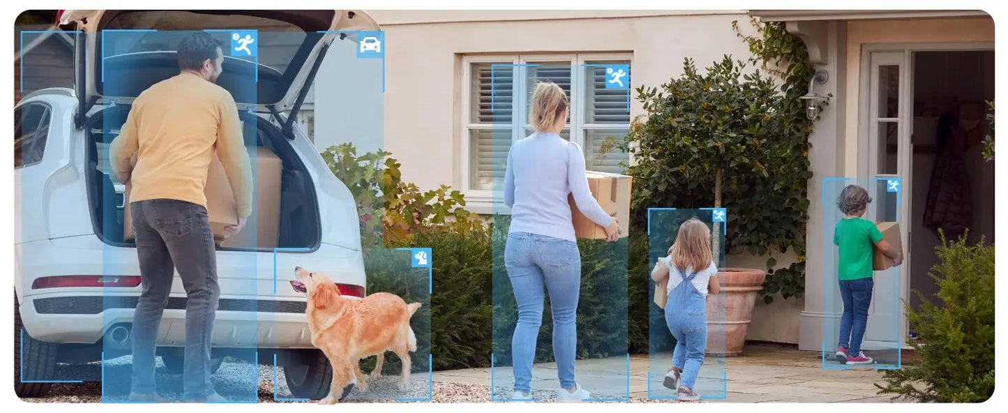 Eggs on Legs - Reolink 5MP Solar Battery Powered Wireless Security Camera - Great for Chickens and Pets! - Eggs on Legs