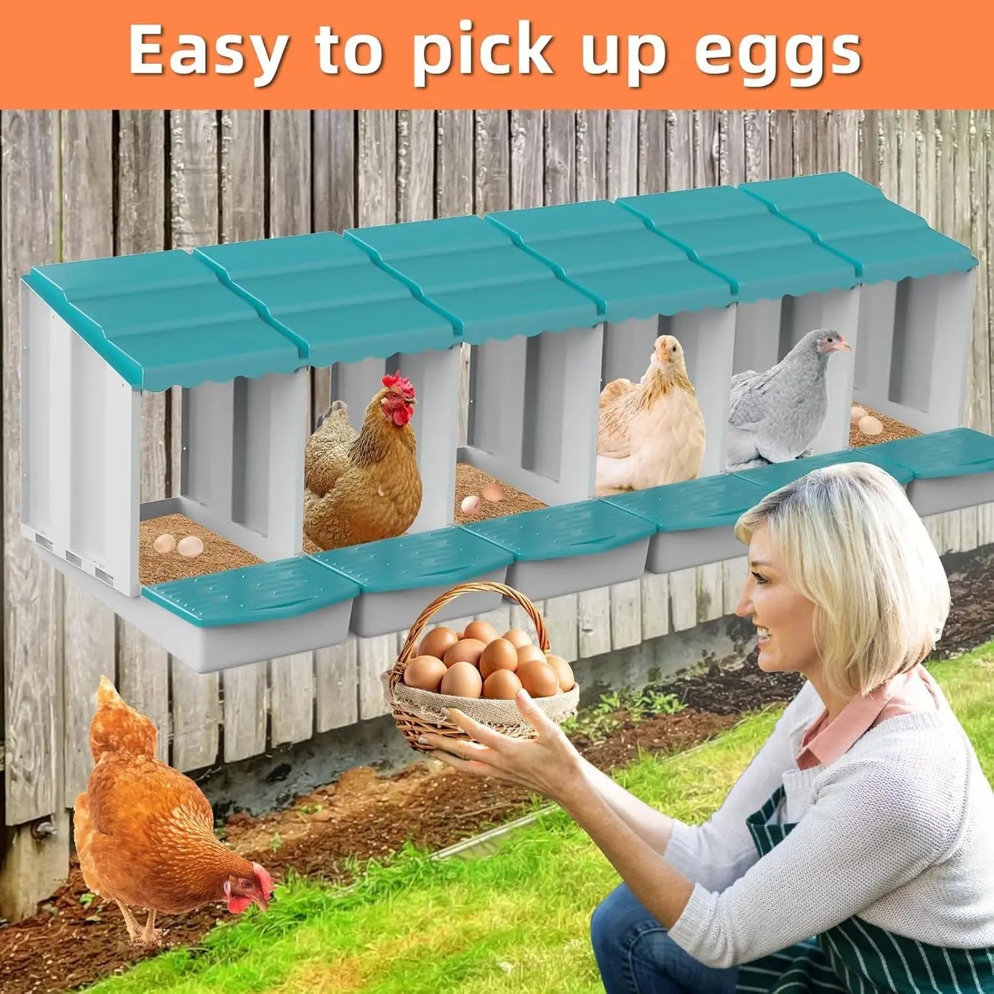 Eggs on Legs - Triple Nesting Box - Eggs on Legs
