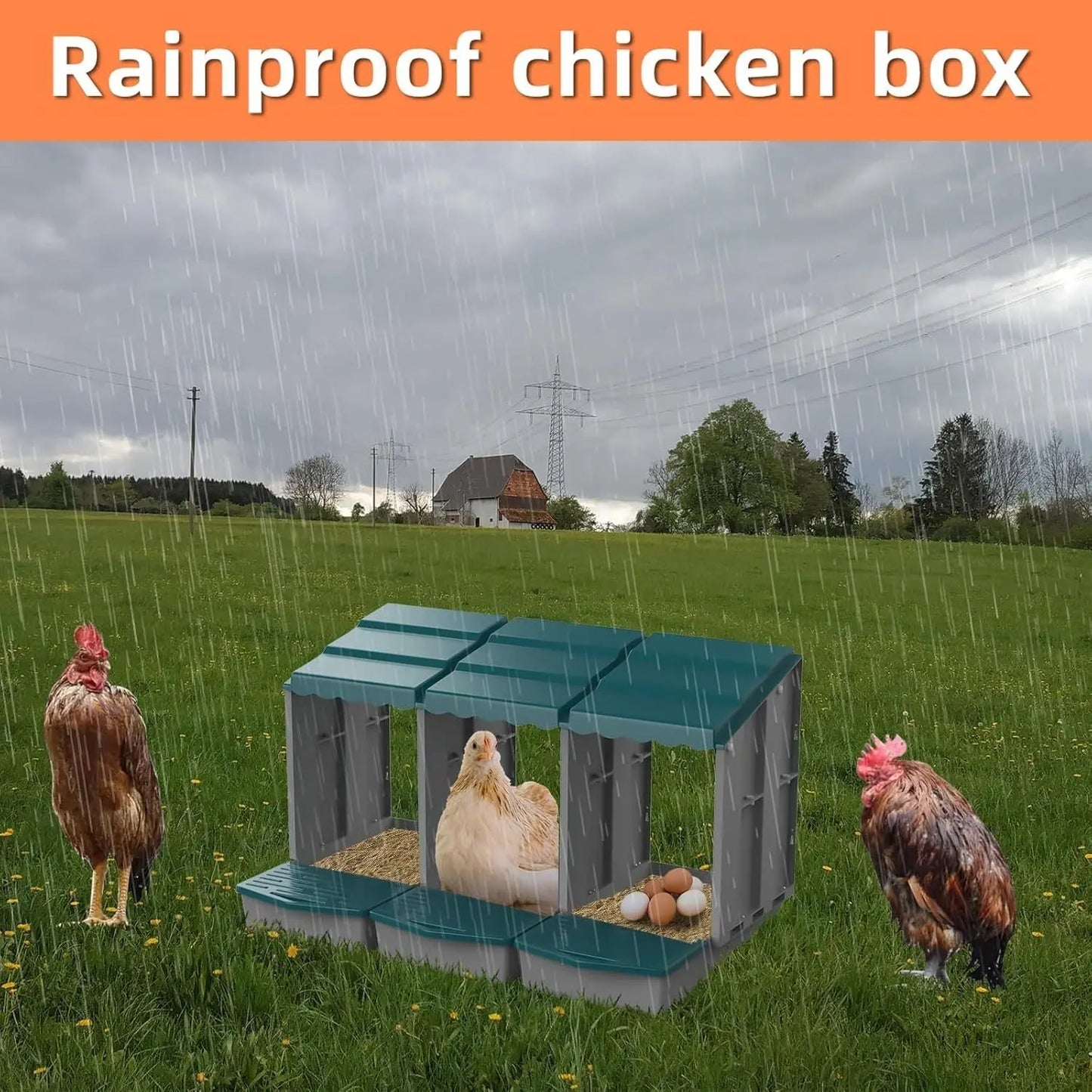 Eggs on Legs - Triple Nesting Box - Eggs on Legs