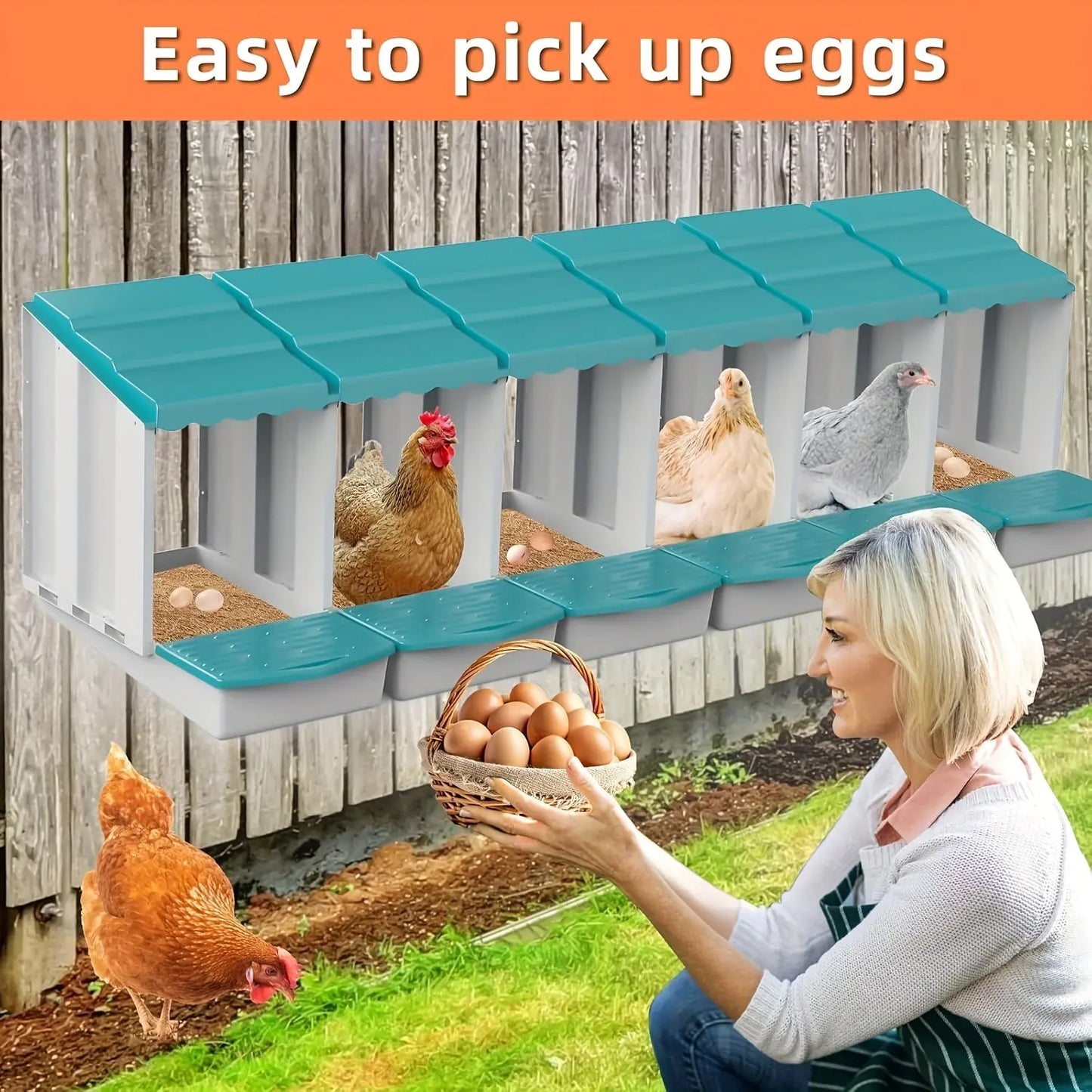 Eggs on Legs - Triple Nesting Box - Eggs on Legs