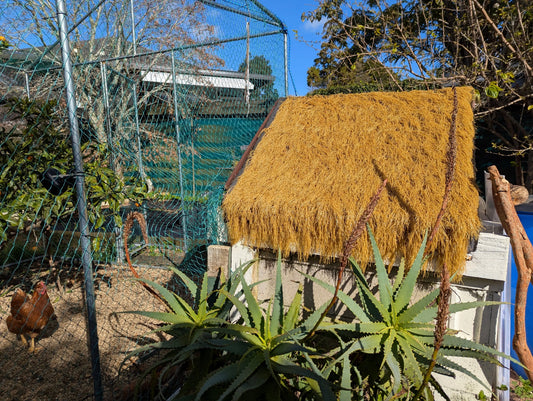 🏝️ The Coop with Holiday Vibes: Our Chook House Glow-Up - Eggs on Legs