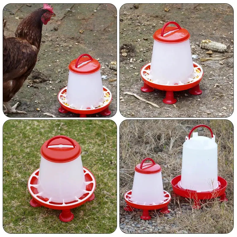 Eggs on Legs -  1.5kg/3L Feeder/Water Dispenser - Eggs on Legs