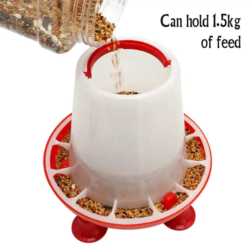 Eggs on Legs -  1.5kg/3L Feeder/Water Dispenser - Eggs on Legs