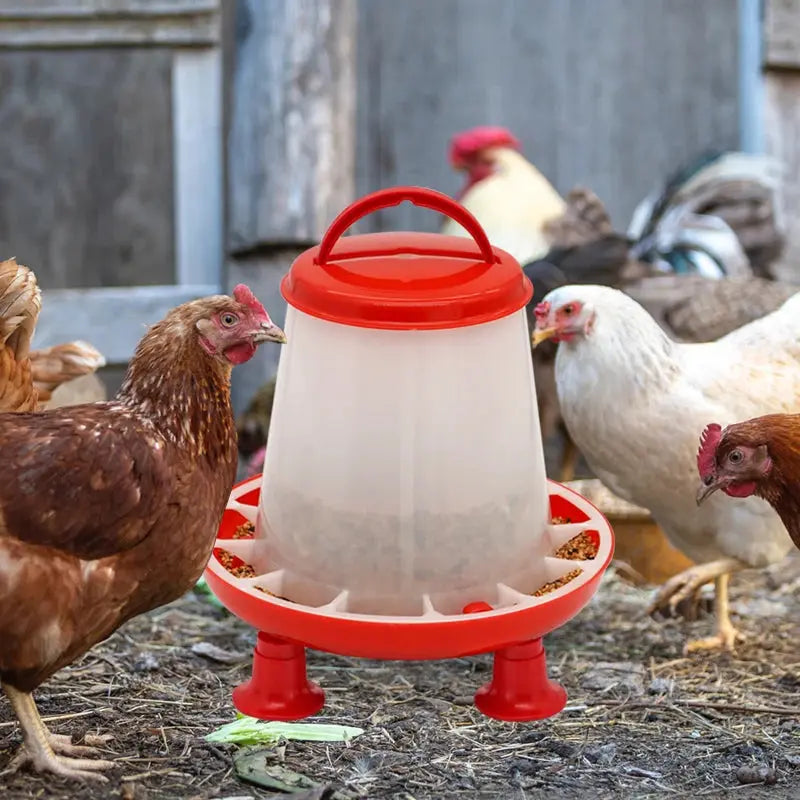 Eggs on Legs -  1.5kg/3L Feeder/Water Dispenser - Eggs on Legs
