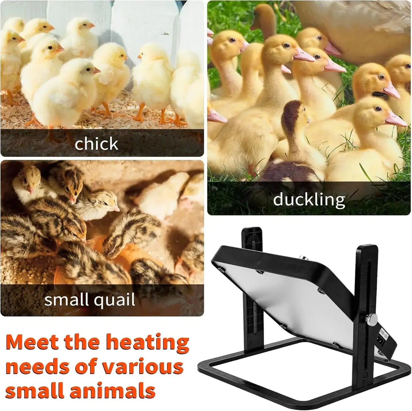 Eggs on Legs - Chick Heater with Adjustable Temperature - Eggs on Legs
