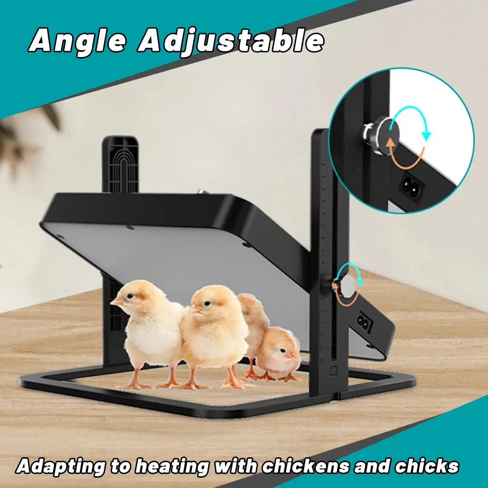 Eggs on Legs - Chick Heater with Adjustable Temperature - Eggs on Legs