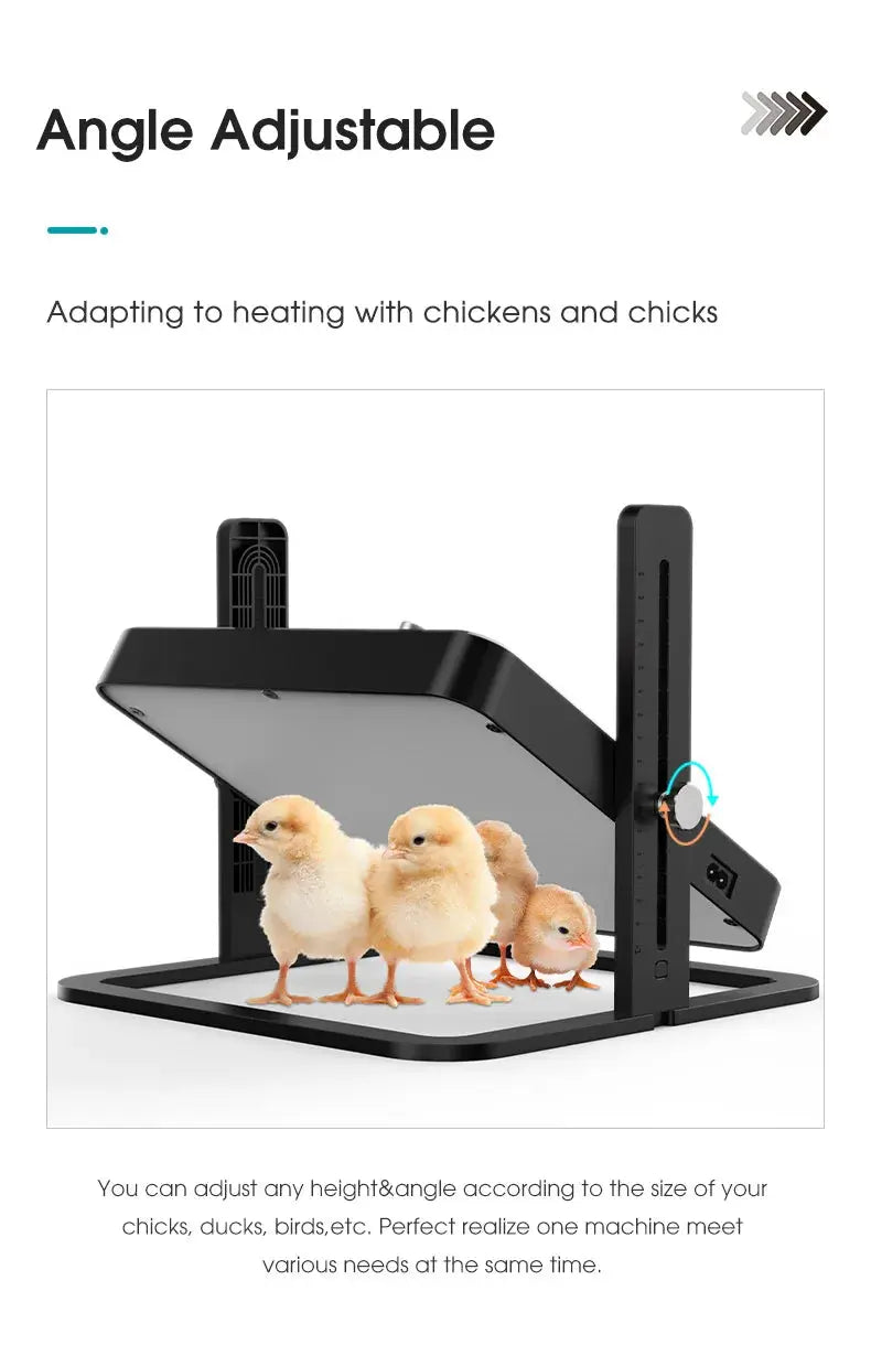 Eggs on Legs - Chick Heater with Adjustable Temperature - Eggs on Legs
