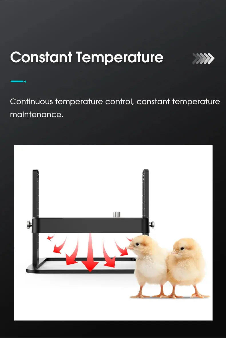 Eggs on Legs - Chick Heater with Adjustable Temperature - Eggs on Legs