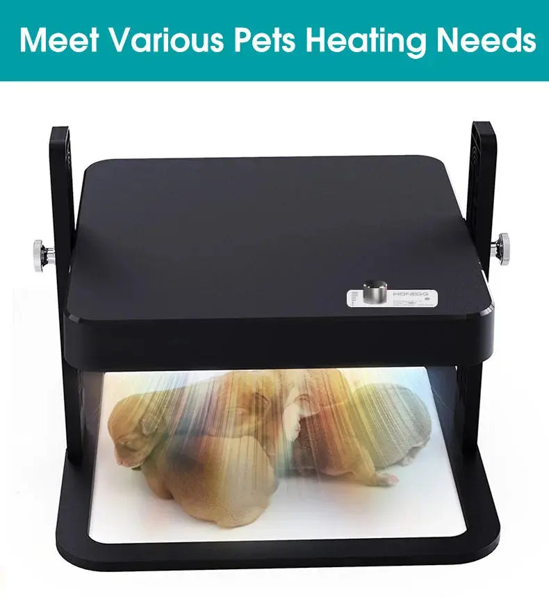 Eggs on Legs - Chick Heater with Adjustable Temperature - Eggs on Legs
