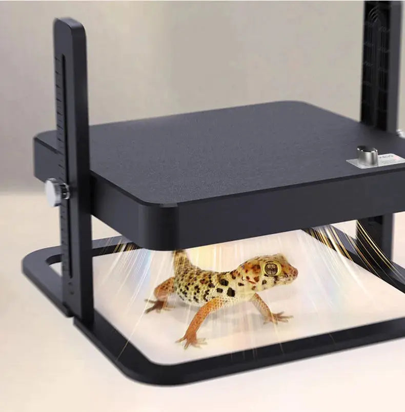 Eggs on Legs - Chick Heater with Adjustable Temperature - Eggs on Legs