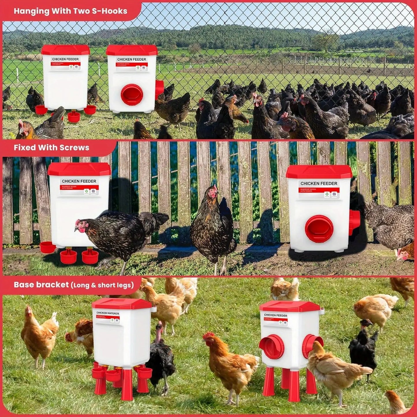 Eggs on Legs - Chicken Feeder and Water Dispenser Set - Eggs on Legs
