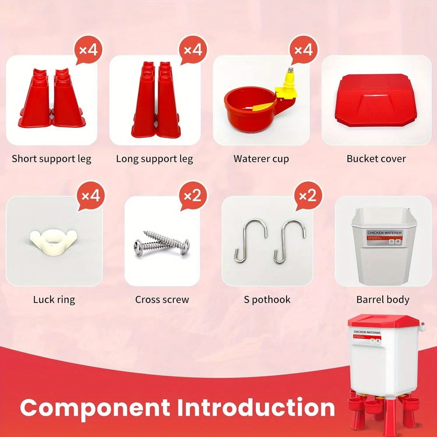 Eggs on Legs - Chicken Feeder and Water Dispenser Set - Eggs on Legs