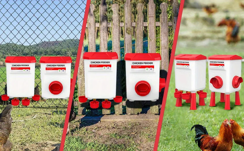 Eggs on Legs - Chicken Feeder and Water Dispenser Set - Eggs on Legs
