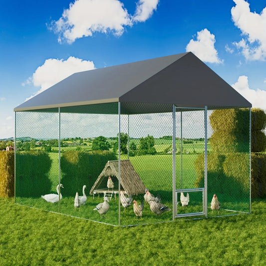 Eggs on Legs - Chicken Run / Pet Enclosure - Eggs on Legs