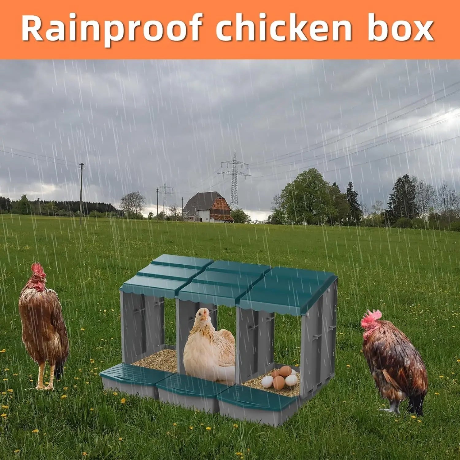 Eggs on Legs - Triple Nesting Box - Eggs on Legs