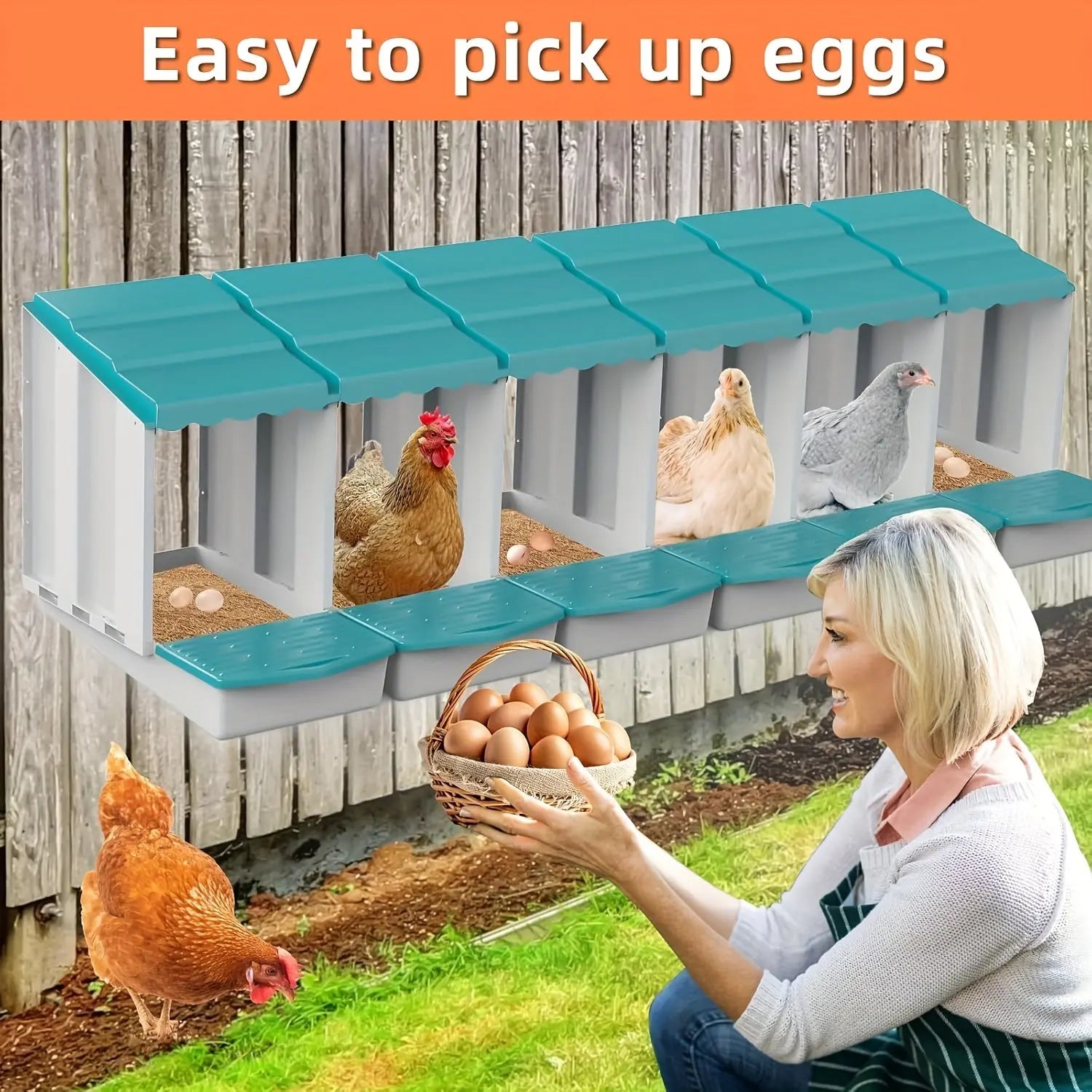 Eggs on Legs - Triple Nesting Box - Eggs on Legs
