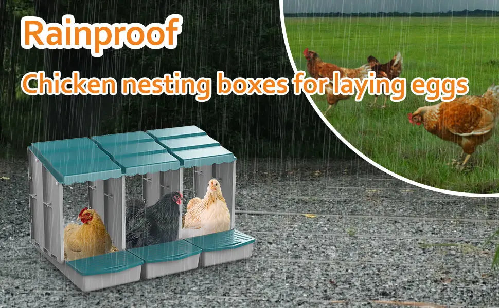 Eggs on Legs - Triple Nesting Box - Eggs on Legs