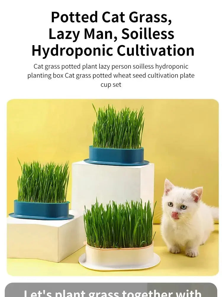 Eggs on Legs - Chicken Micro-Greens Growing Hydroponics Kit Eggs on Legs