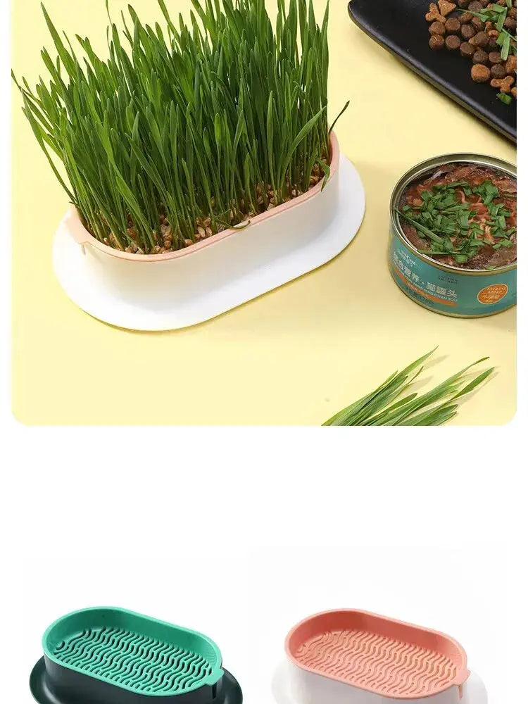 Eggs on Legs - Chicken Micro-Greens Growing Hydroponics Kit Eggs on Legs