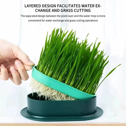 Eggs on Legs - Chicken Micro-Greens Growing Hydroponics Kit Eggs on Legs