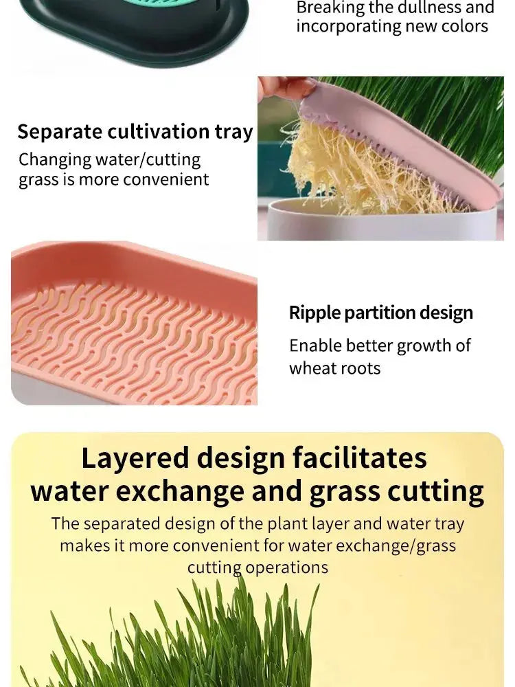Eggs on Legs - Chicken Micro-Greens Growing Hydroponics Kit Eggs on Legs