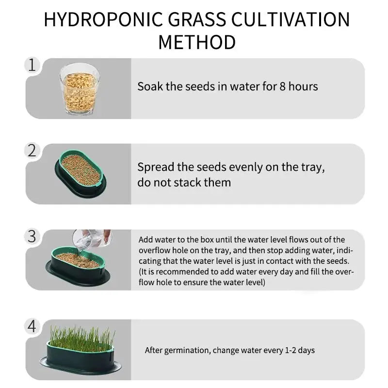 Eggs on Legs - Chicken Micro-Greens Growing Hydroponics Kit Eggs on Legs